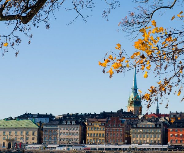 Maple on background of Stockholm